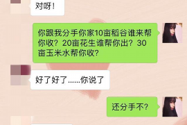 燕郊专业讨债公司有哪些核心服务？